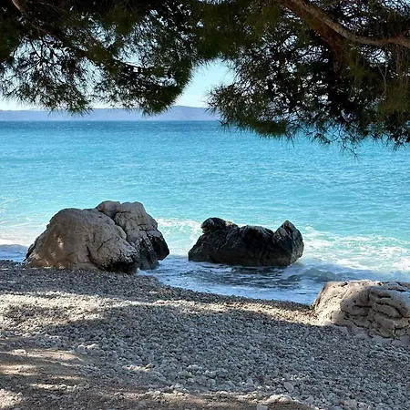 Mare By Fratelli